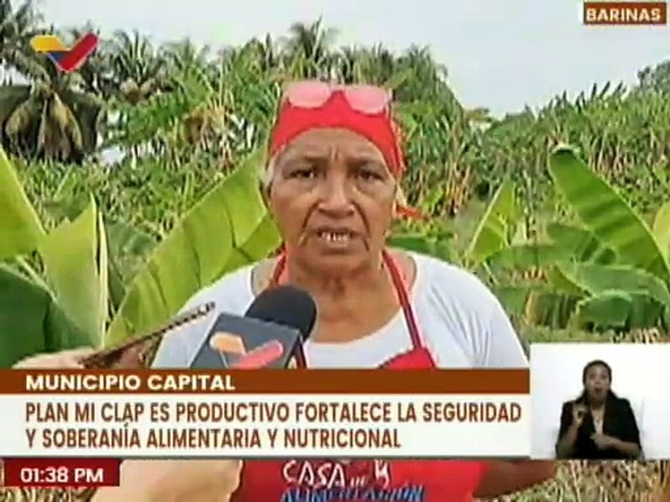 Barinas | Plan "Mi Clap es Productivo" fortalece la seguridad y soberanía alimentaria
