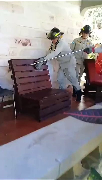 Hondureña encuentra una serpiente en una silla de su casa