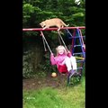 Funny Animal Videos 2024 - Funniest Dogs And Cats Videos That Make You Laugh Out Loudest