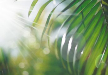 Maria Becerra, Chencho Corleone, Ovy On The Drums - PISCINA (Official Video[1]