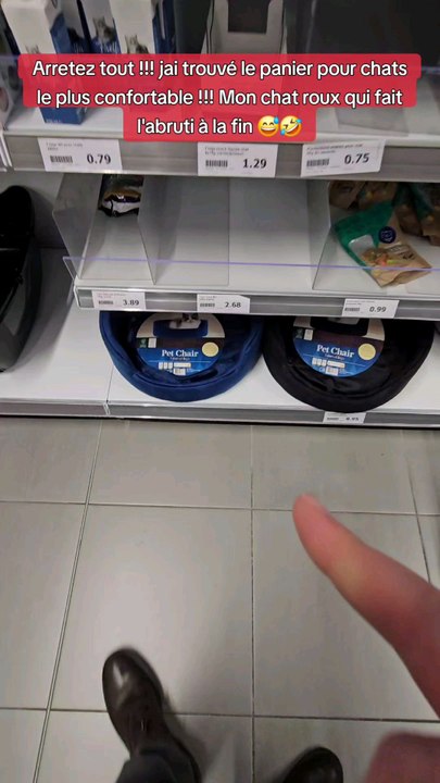 Je teste un panier pour chat  rehaussé #essai #teste #magasinaction #action #chats #animauxdecompagnie #panier