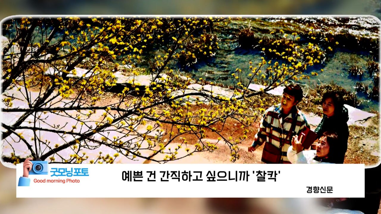 [굿모닝포토] 예쁜 건 간직하고 싶으니까 '찰칵' / YTN