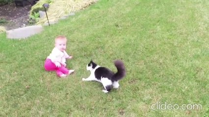 baby and cat funny video2