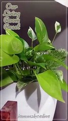 Our Living Room Reset