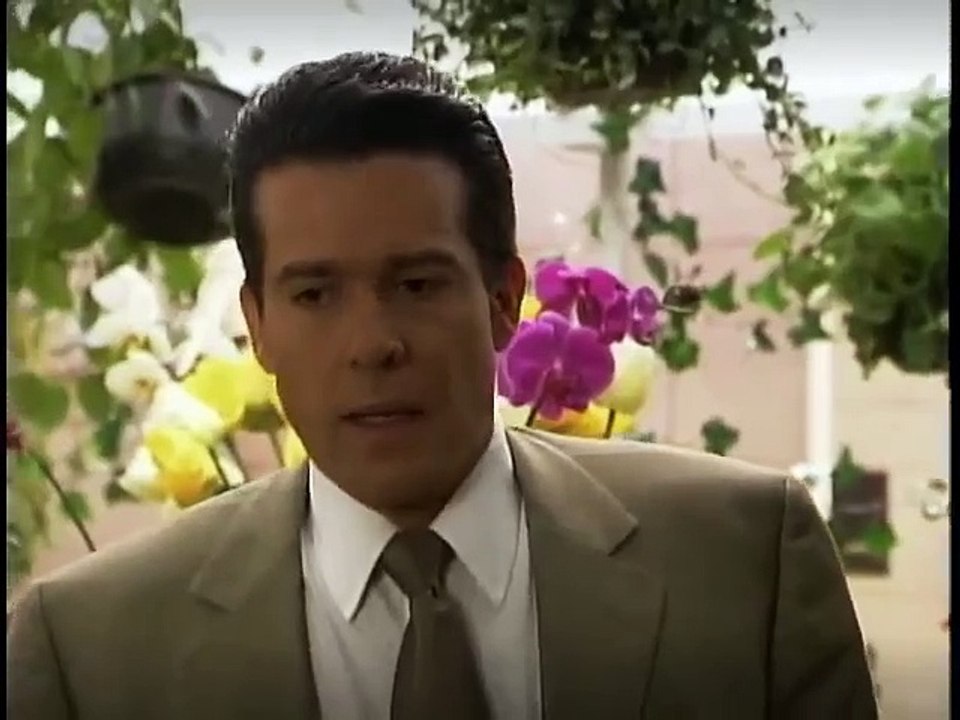 Carita de angel 17