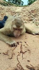 Amazing Best SokYaa,OG, Pao & Mom Are Famous Around The World #shorts