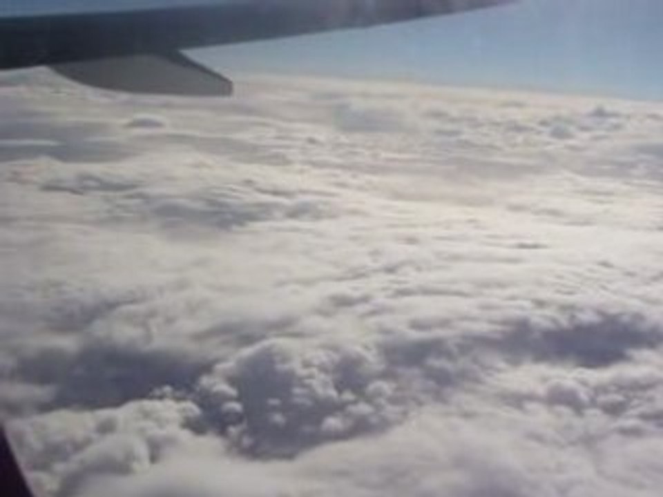 MOV00008