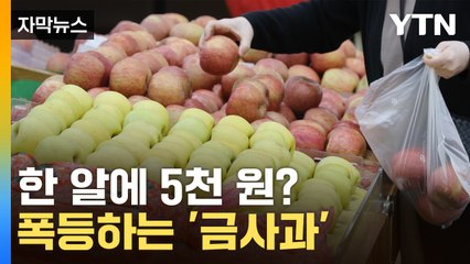 [자막뉴스] 폭등하는 과일값...멀어지는 금리 인하  / YTN
