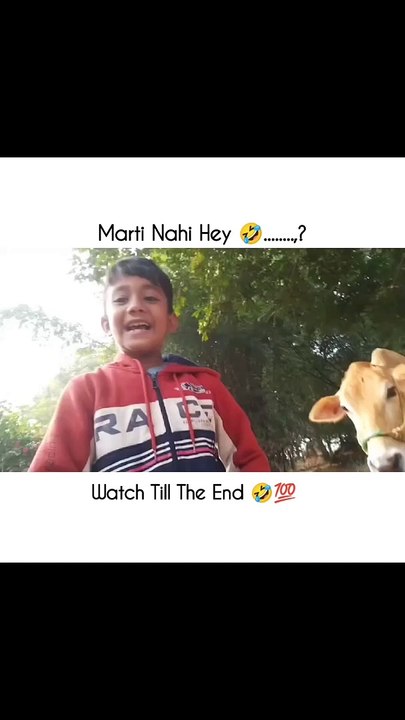 Boy hit by cow