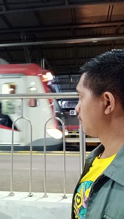 Looking at the Train