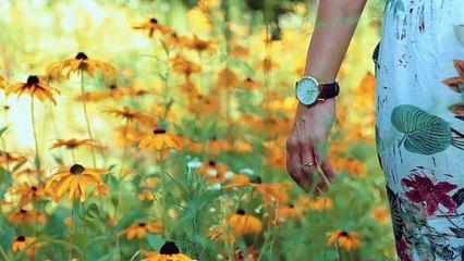 Short Music for Focus