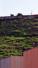 el show de shialeweb y el cerro de los misterios muchas cosas extrañas suceden ahi