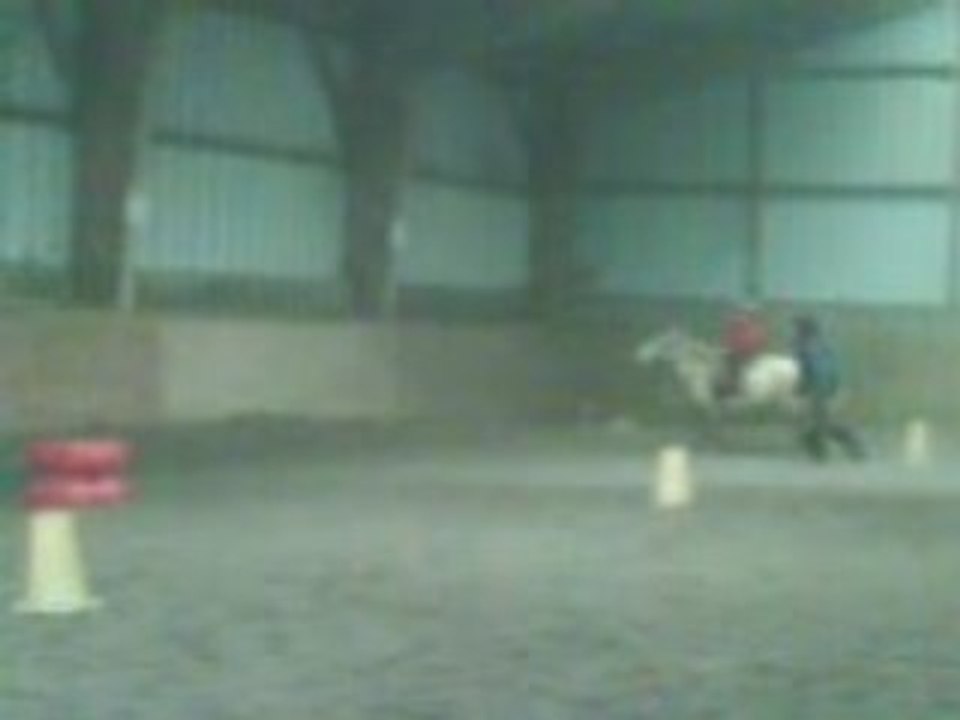 griffon au galop
