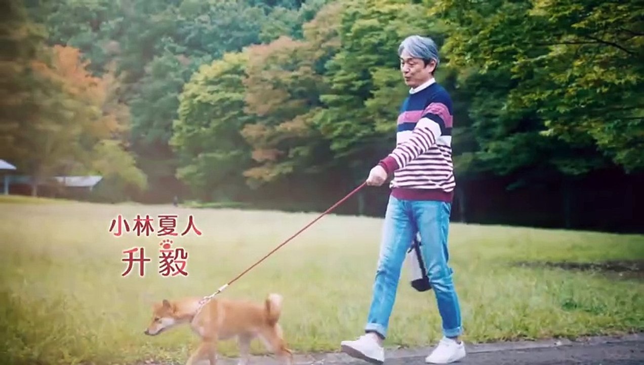 無料ホームシアター - おじさまと猫#8