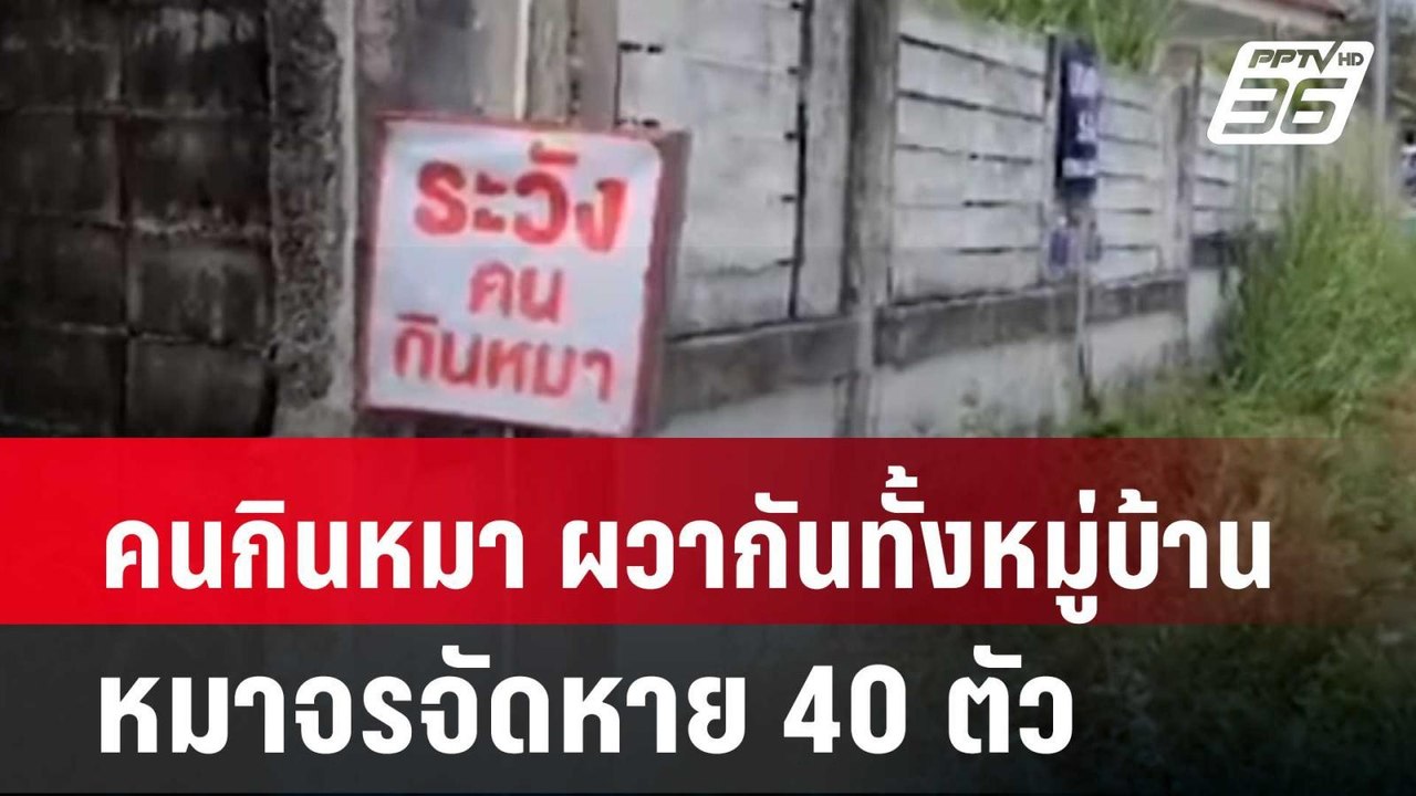 คนกินหมา ผวากันทั้งหมู่บ้านหมาจรจัดหาย 40 ตัว| เที่ยงทันข่าว |  11 มี.ค. 67