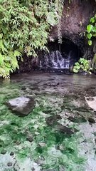 Campagal Hot spring Resort