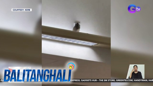 Hindi tamang pagtapon ng basura ng mga pasahero, pinuna ng ilang netizen bilang dahilan ng mga daga sa NAIA | BT