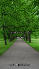 سورة الرحمان بصوت الشيخ ياسر الدوسري الاية ٥٦ الى ٦١