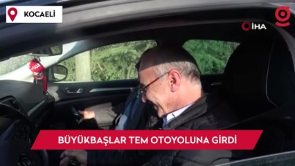 Büyükbaşlar TEM otoyoluna girdi, sürücüler zor anlar yaşadı
