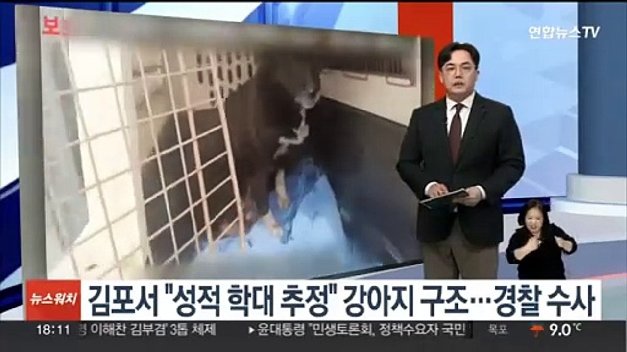 김포서 "성적 학대 추정" 강아지 구조…경찰 수사