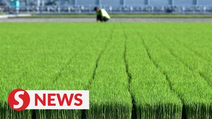 Agriculture ministry ready to face El Nino effects on agro-food sector