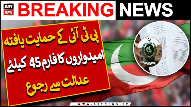 PTI-backed candidates approach court to get Form 45