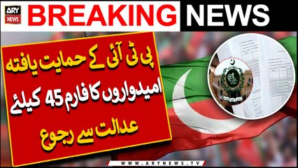PTI-backed candidates approach court to get "Form 45"