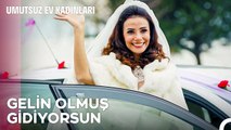 Yasemin ve Sinan'ın En Mutlu Günü - Umutsuz Ev Kadınları 120. Bölüm