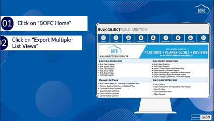 Export Multiple List Views in Salesforce