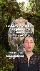 Pourquoi les T. rex ont des petits bras ?