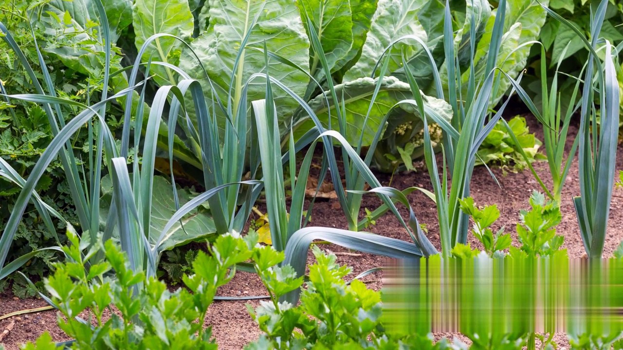 The Fascinating World of Snail Farming