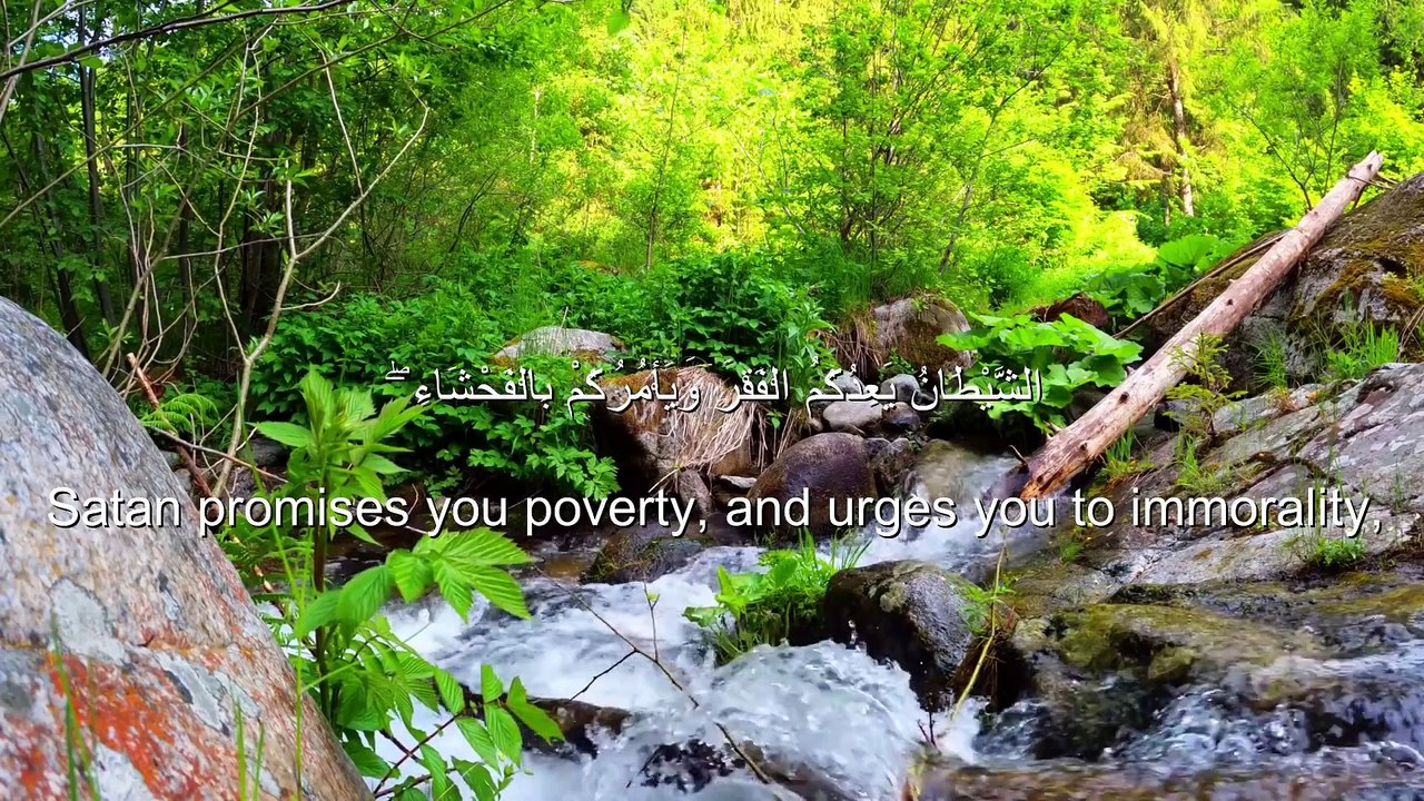 SURAH AL BAQARAH VERSE 253 amazing heart melting voice️ Soothing