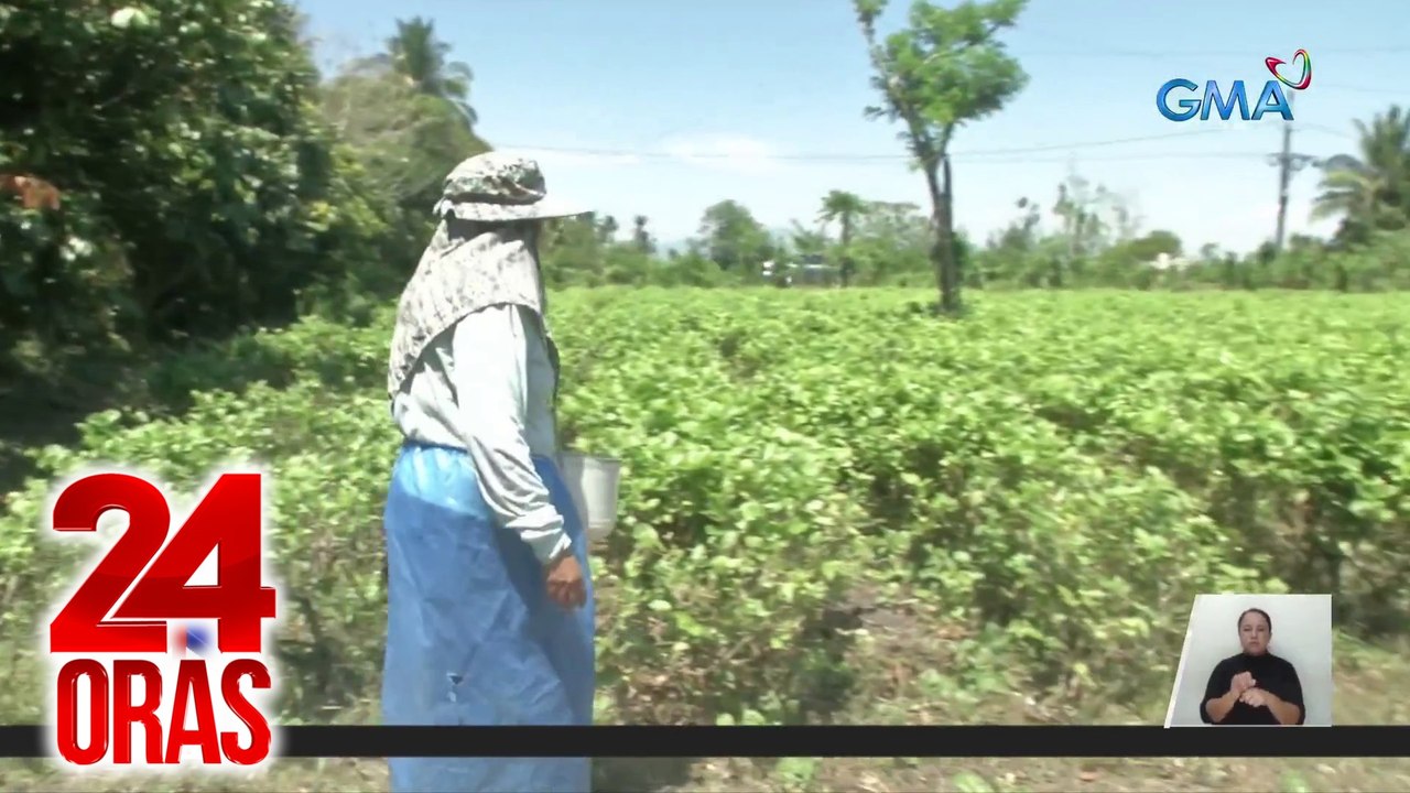 100 kababaihan, hinandugan ng libreng papsmear at breast exam ng GMA Kapuso Foundation | 24 Oras