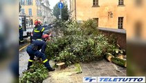 Video News - METEO: IL SOLE SCACCIA VENTO E PIOGGIA