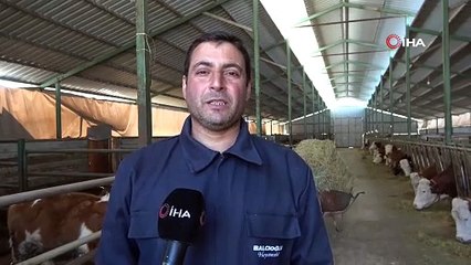 Öğretmen olacaktı, köyüne taşındı, hayatı değişti