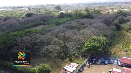 tn7-compra-de-terreno-en-alajuela-dio-origen-a-investigacion-contra-colaboradores-de-manos-abiertas-110324