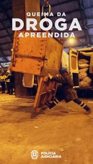 PJ queima cinco toneladas de droga apreendida em 2024