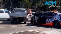 Wild police chase: shirtless Aussie crashes, flees on foot in chaotic standoff in Erina