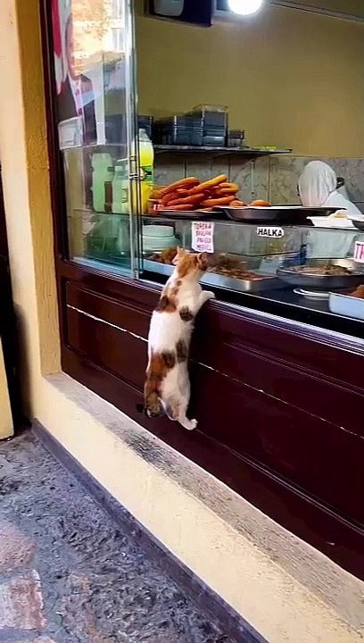 What a great buyer
