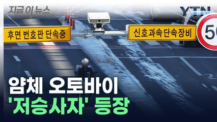 "이륜차 적발 크게 늘어"...양방향 무인단속장비 놀라운 효과 [지금이뉴스]  / YTN
