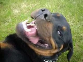 Mon rott dans le jardin !