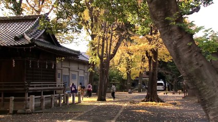 サラリーマン金太郎 2 第1話