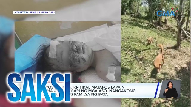 2-anyos na bata, kritikal matapos lapain ng 4 na aso; may-ari ng mga aso, nangakong tutulungan ang pamilya ng bata | Saksi