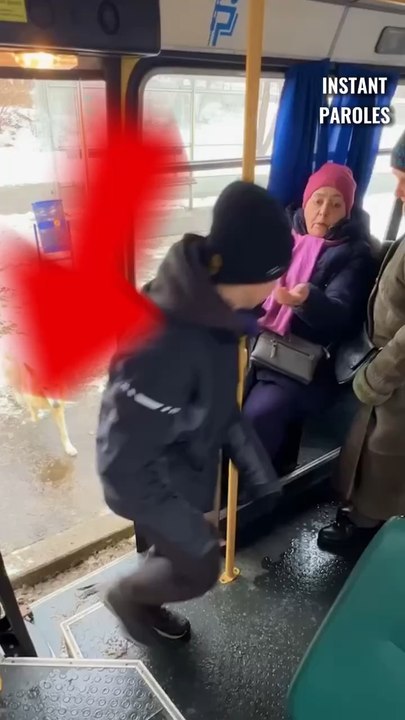 Ce chien errant fuyant le froid se fait rejeter d’un bus puis reçoit un soutien inattendu