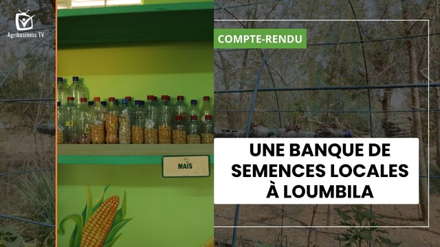 Burkina Faso : Une banque de semences locales à Loumbila