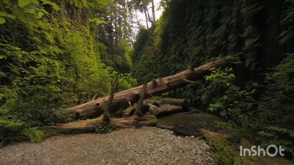 Peer e Kamil by Umera Ahmed Episode 1