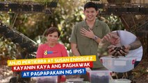 Anjo Pertierra at Susan Enriquez, kayanin kaya ang paghawak at pagpapakain ng ipis? | I Juander