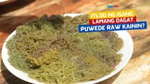 Itlog ng isang lamang dagat, puwede raw kainin? | I Juander