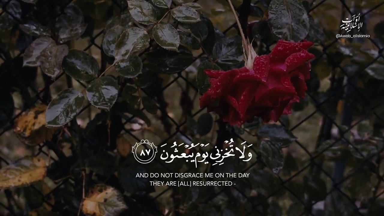 قرآن كريم بصوت جميل جدا❤️ Quran Status