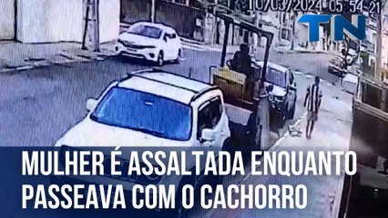 Mulher é assaltada enquanto passeava com o cachorro na Grande Vitória